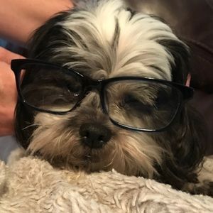 Meet your Posher, Bird House Love